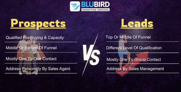 Prospects Vs Leads